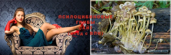 таблы Пересвет