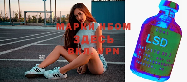 винт Абаза